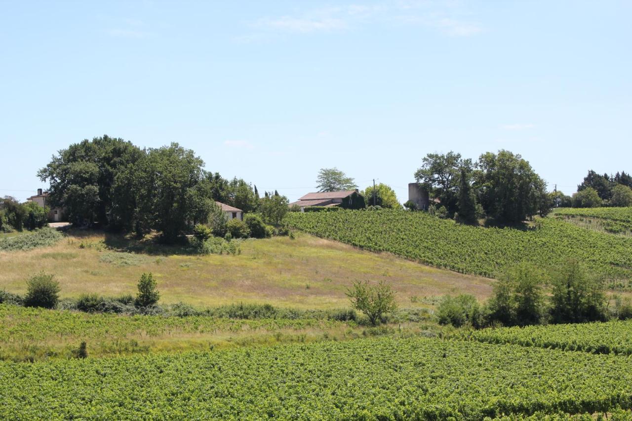 Les Charmes De Vincent - Le Loft Cabernet Bed & Breakfast Fronsac  Exterior photo