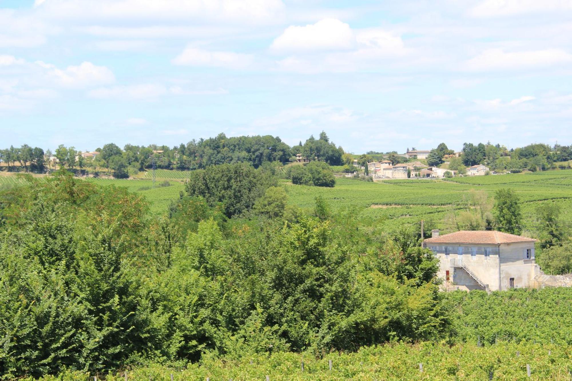 Les Charmes De Vincent - Le Loft Cabernet Bed & Breakfast Fronsac  Exterior photo